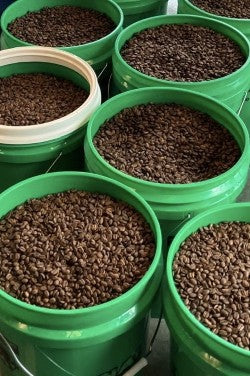 Whole Bean Roasted Coffee